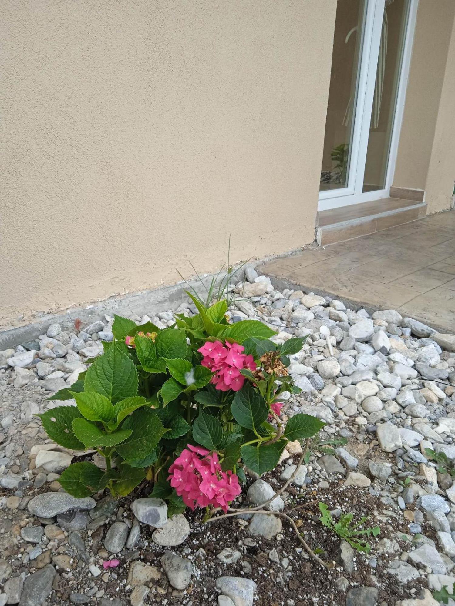 Sylias Village Skala Korinou 외부 사진